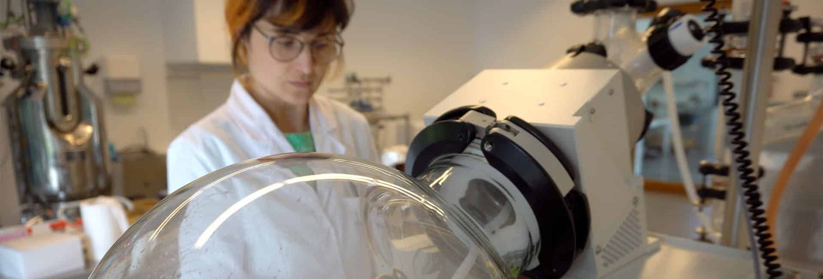 Was ist eine Extraktion? - Hifas da Terra