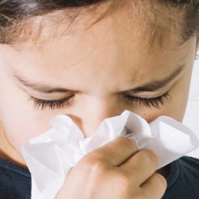 L'histamine : définition, effets et rôle dans l'allergie & l'inflammation ?