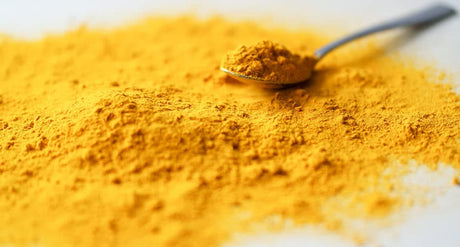 10 appunti fondamentali sui benefici del fungo Cordyceps sinensis