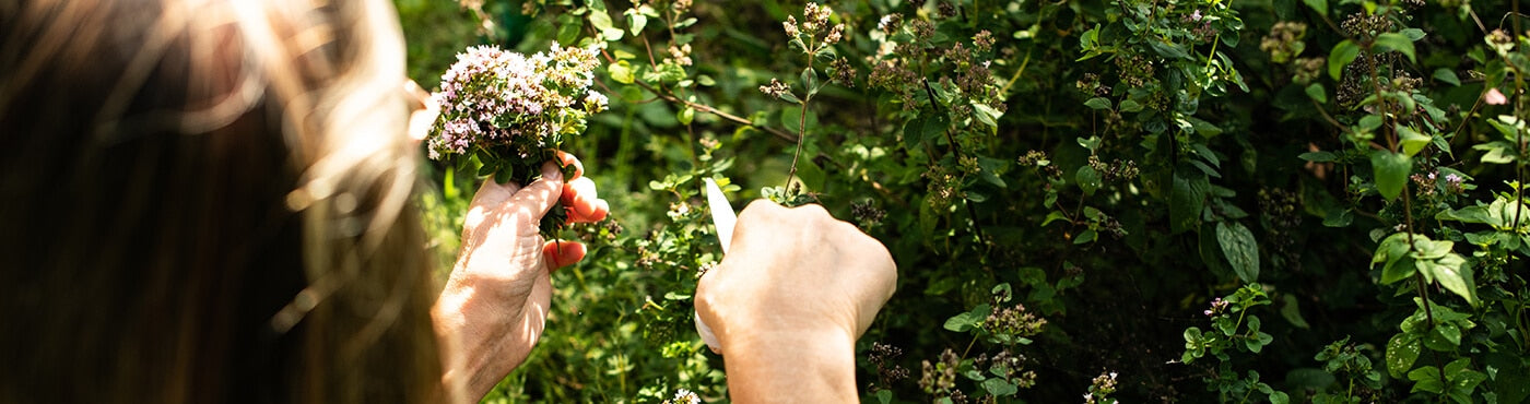 header Holistische Ernährung