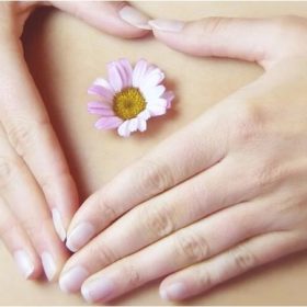 La santé digestive grâce aux prébiotiques et aux probiotiques