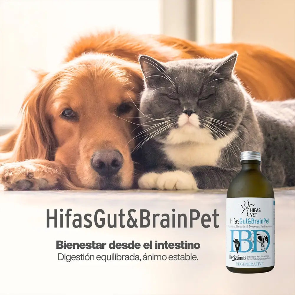 Hifas Gut&Brain Pet