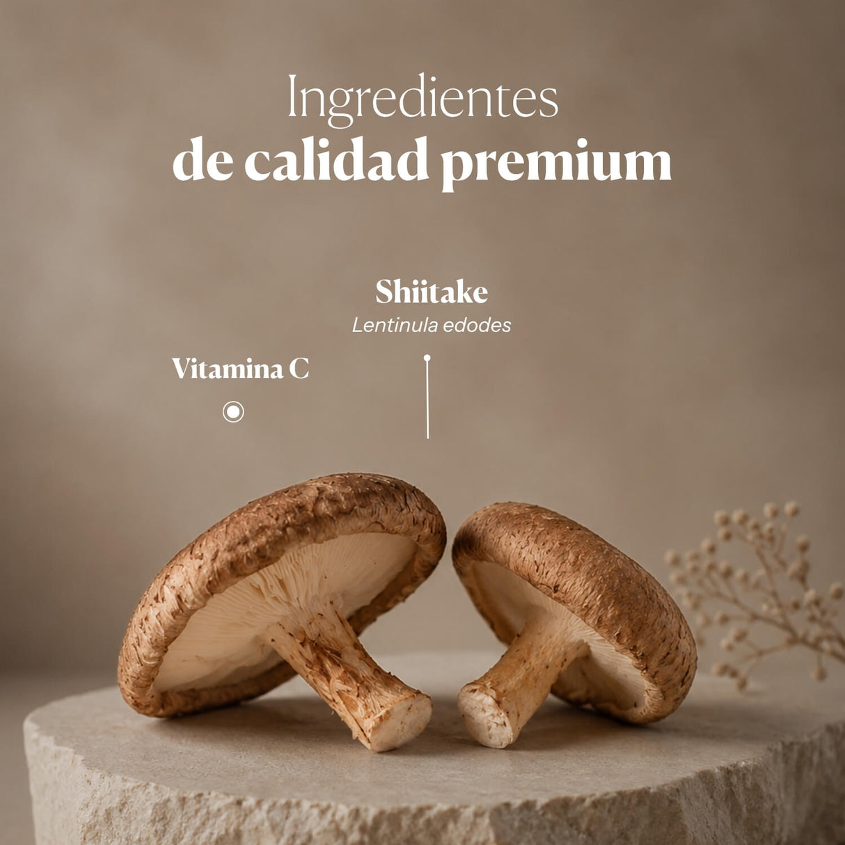HIFAS-Lentinan Extracto de Shiitake (Lentizumib) Gotas