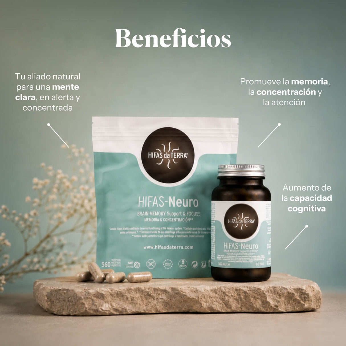 Hifas-Neuro Memoria y Concentración