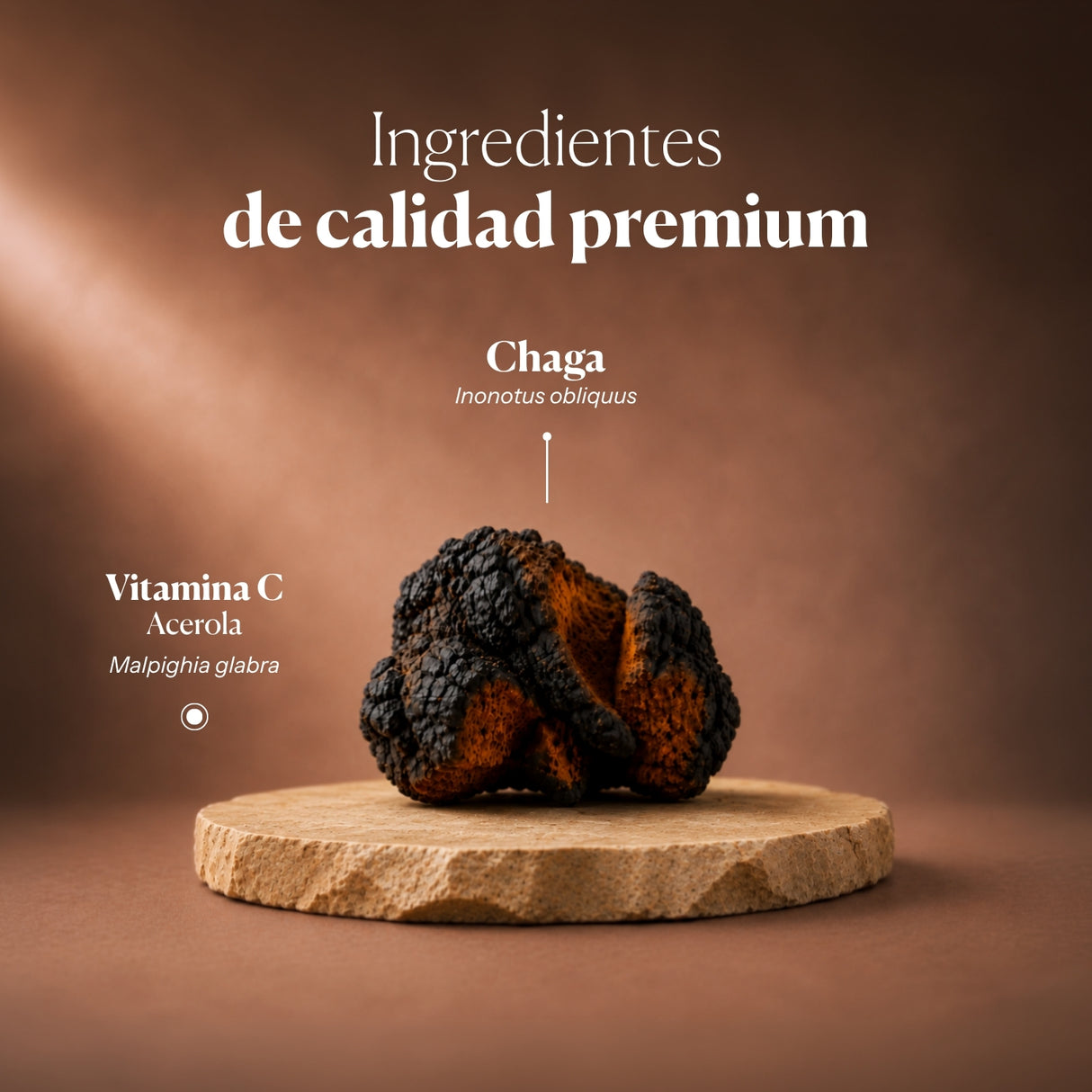 Mico Chaga (Chaga Extract) Capsules