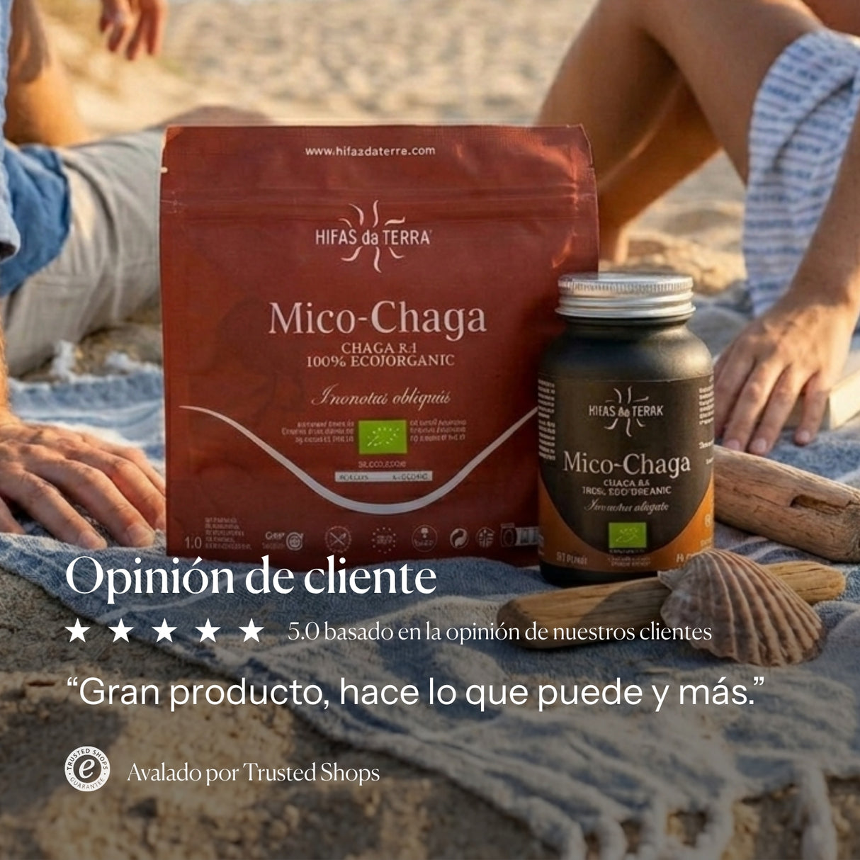 Mico Chaga (Chaga Extract) Capsules