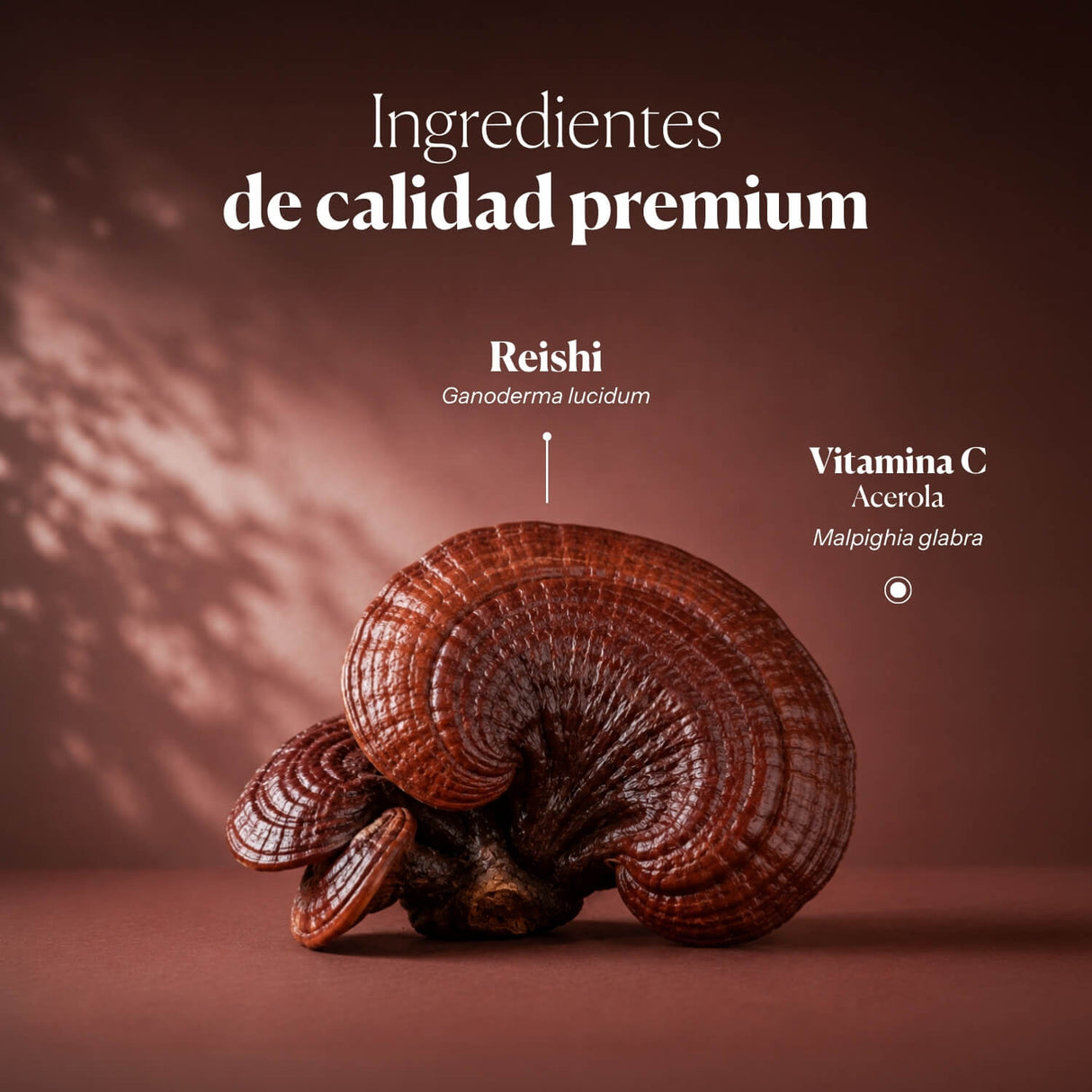 Mico-Rei Extracto Puro ECO de Reishi