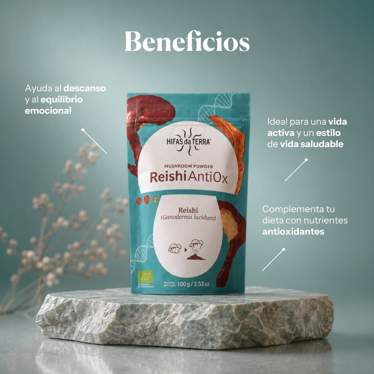 Beneficios de Reishi Antiox: polvo ecológico 100% Reishi | Hifas da Terra