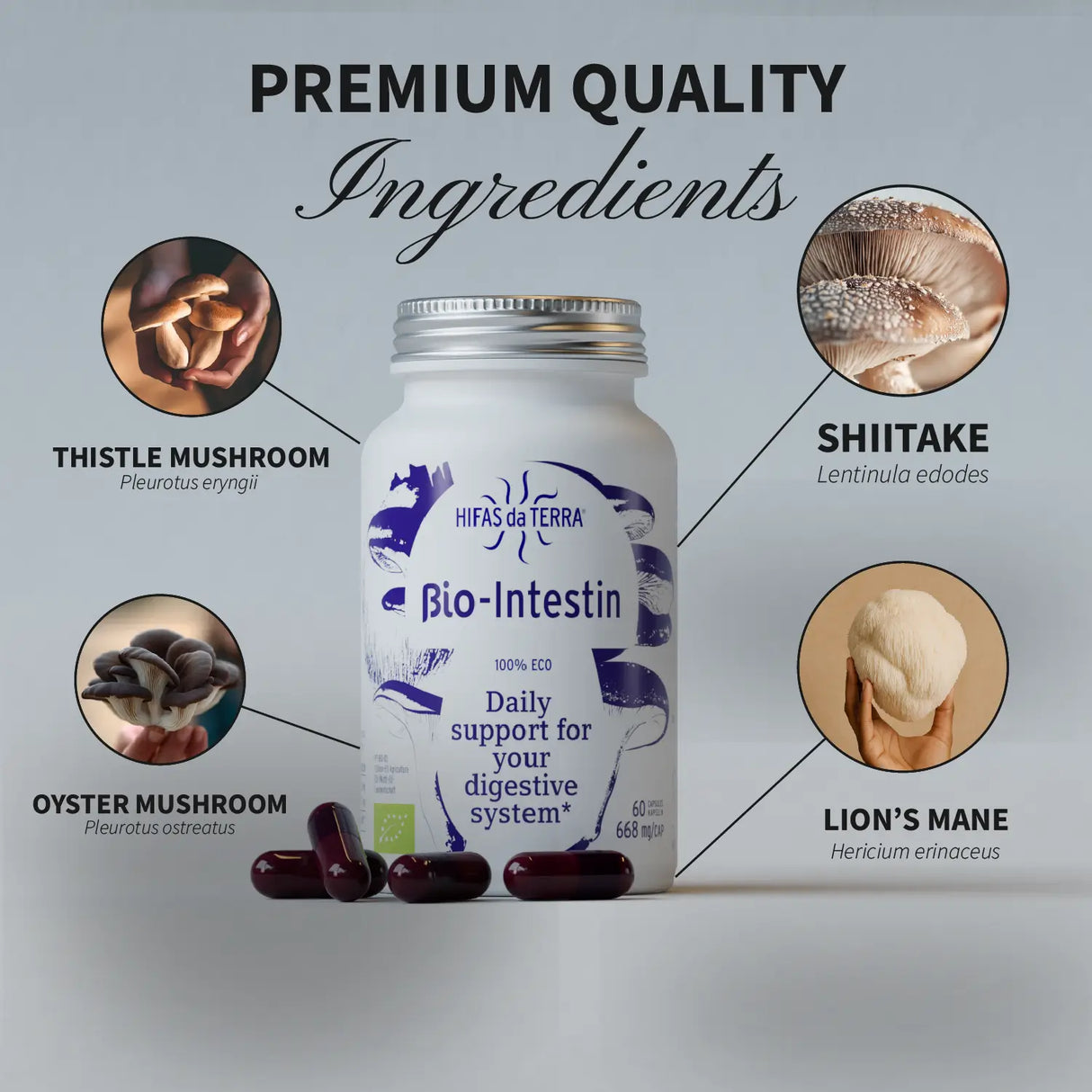 Bio Intestin (Shiitake, Oyster, Lion’s Mane) capsules