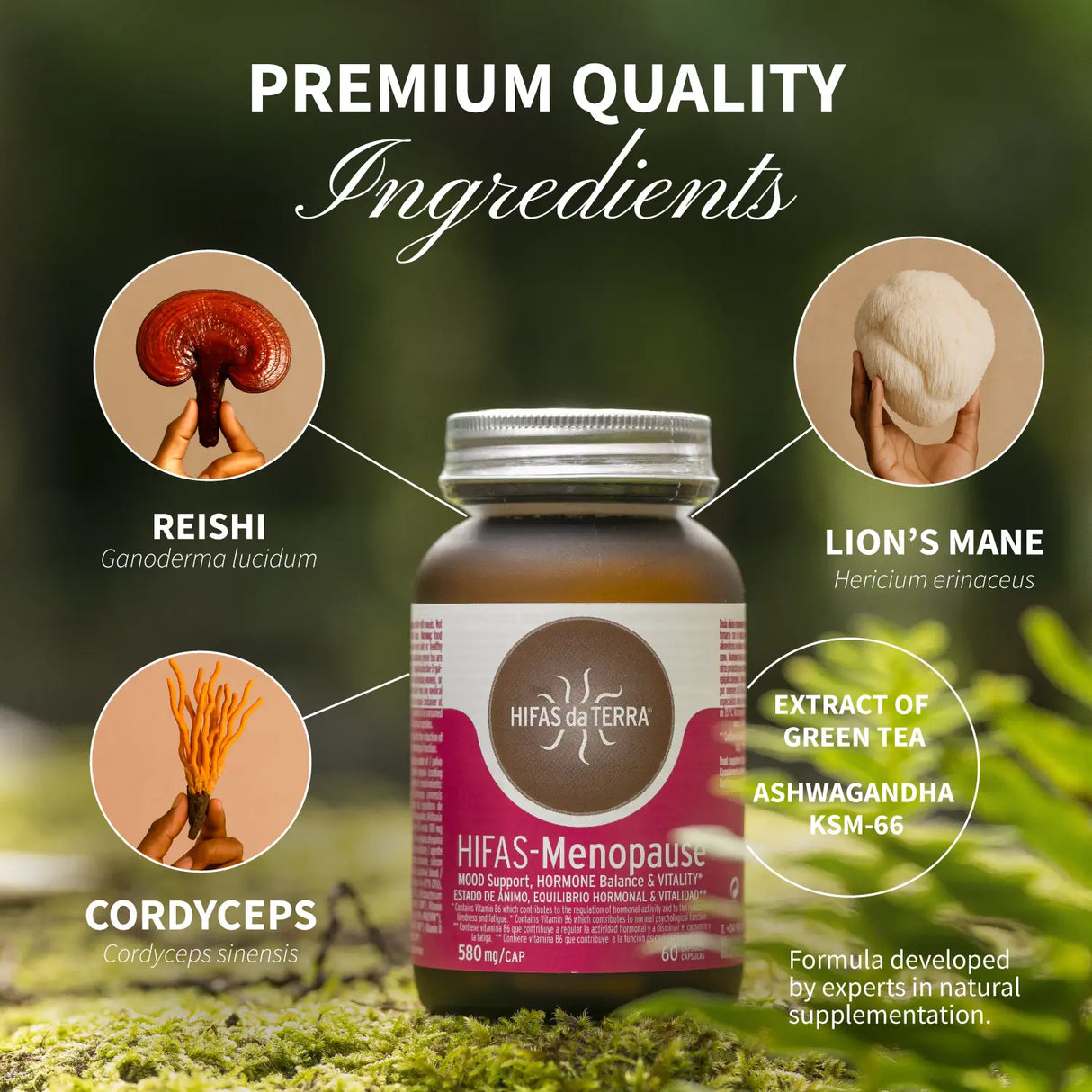 Hifas-Menopause Menopausia y Perimenopausia