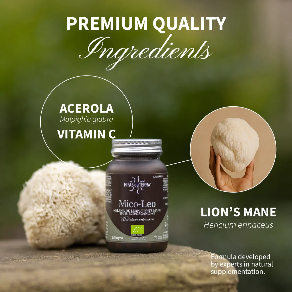 Mico-Leo Extracto Puro ECO de Melena de león