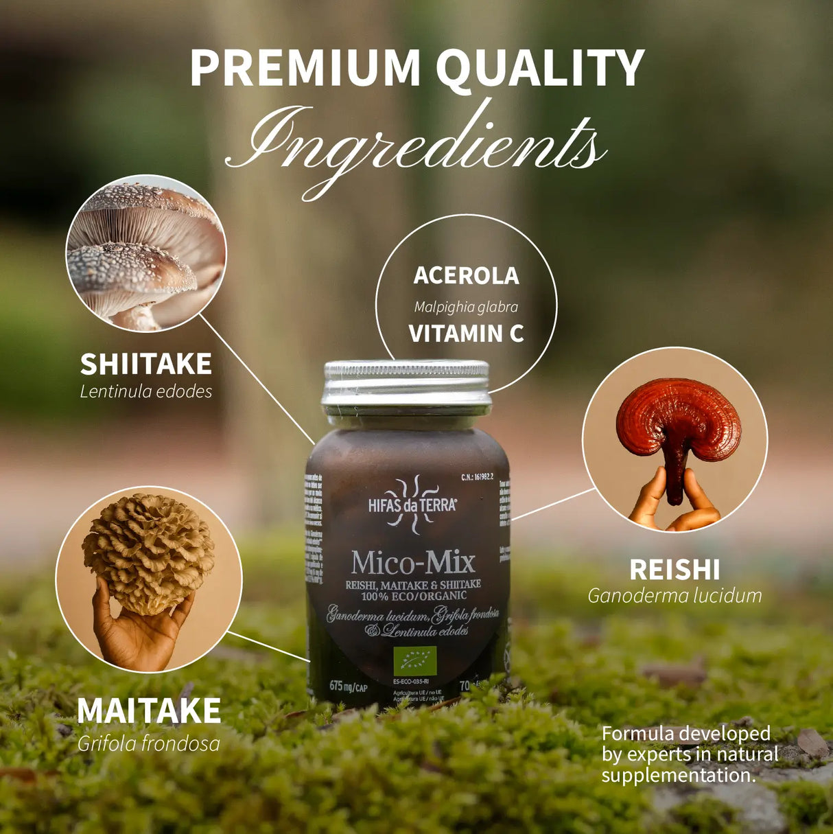 Mico-Mix Extractos Puros de Reishi, Shiitake y Maitake