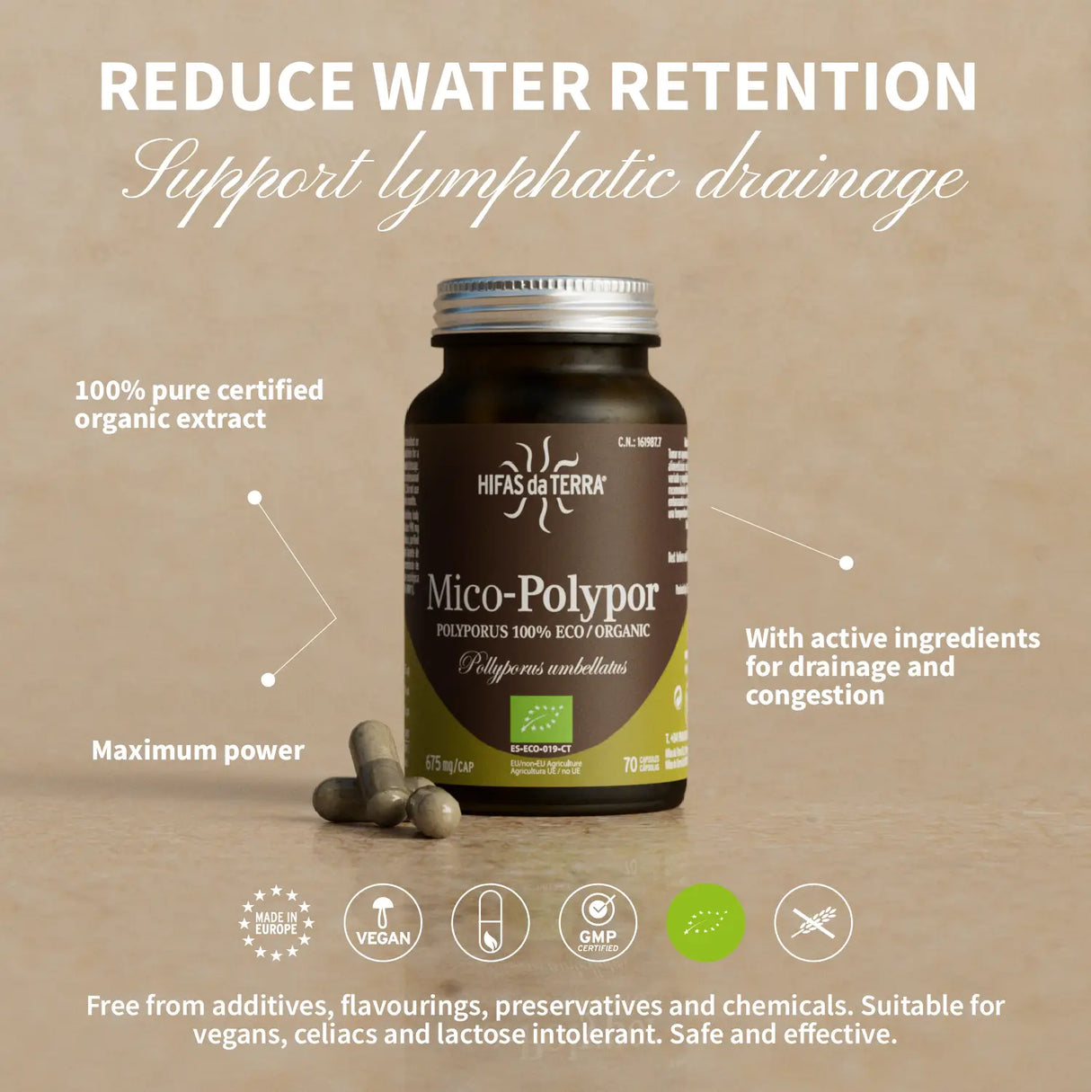 Mico Polypor (Polyporus extract) capsules