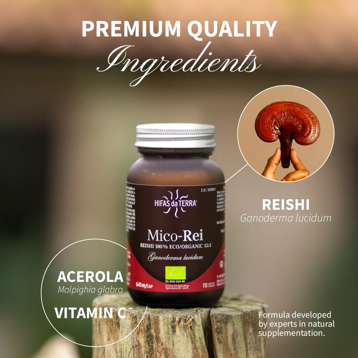 Mico-Rei Extracto Puro ECO de Reishi