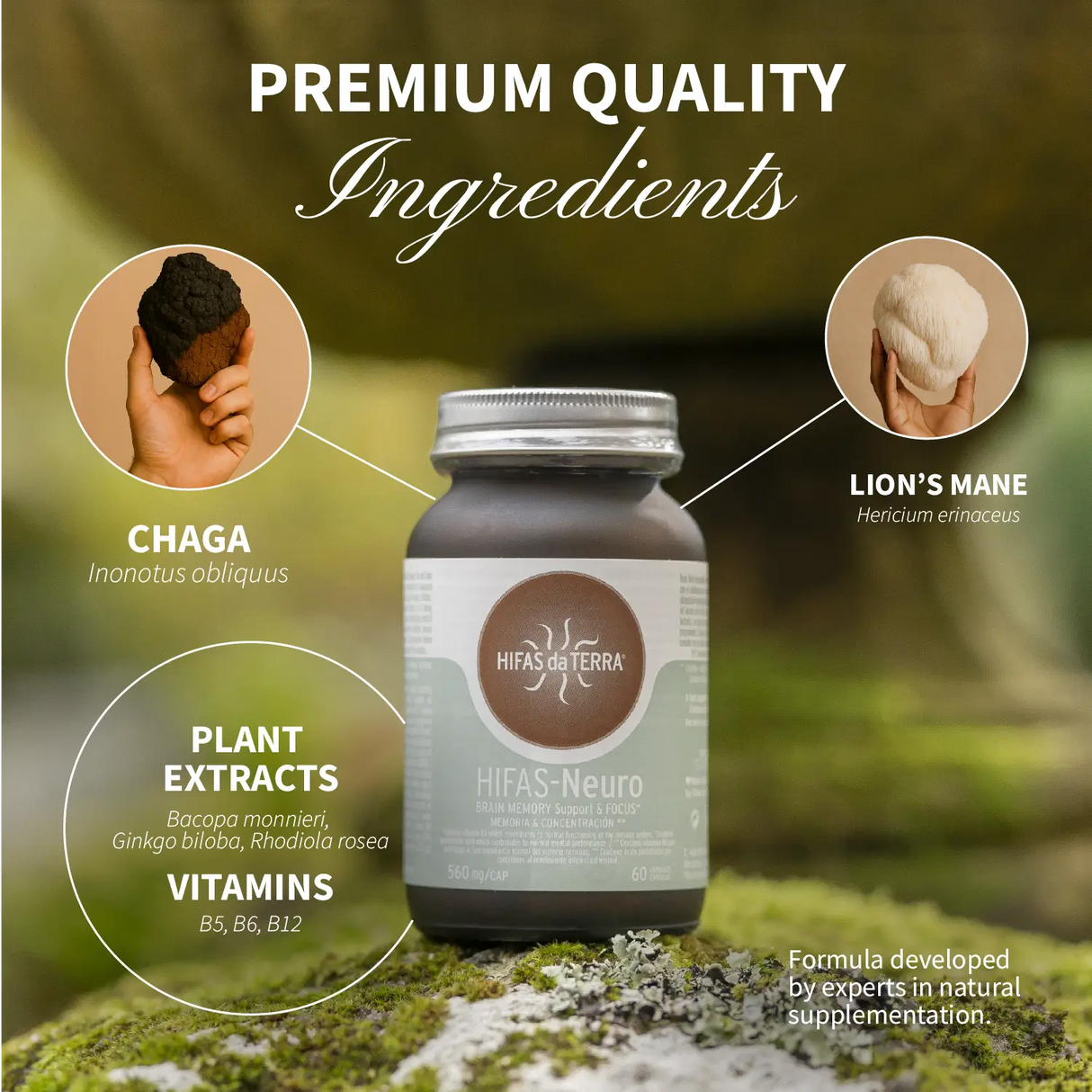 Hifas-Neuro Memoria y Concentración