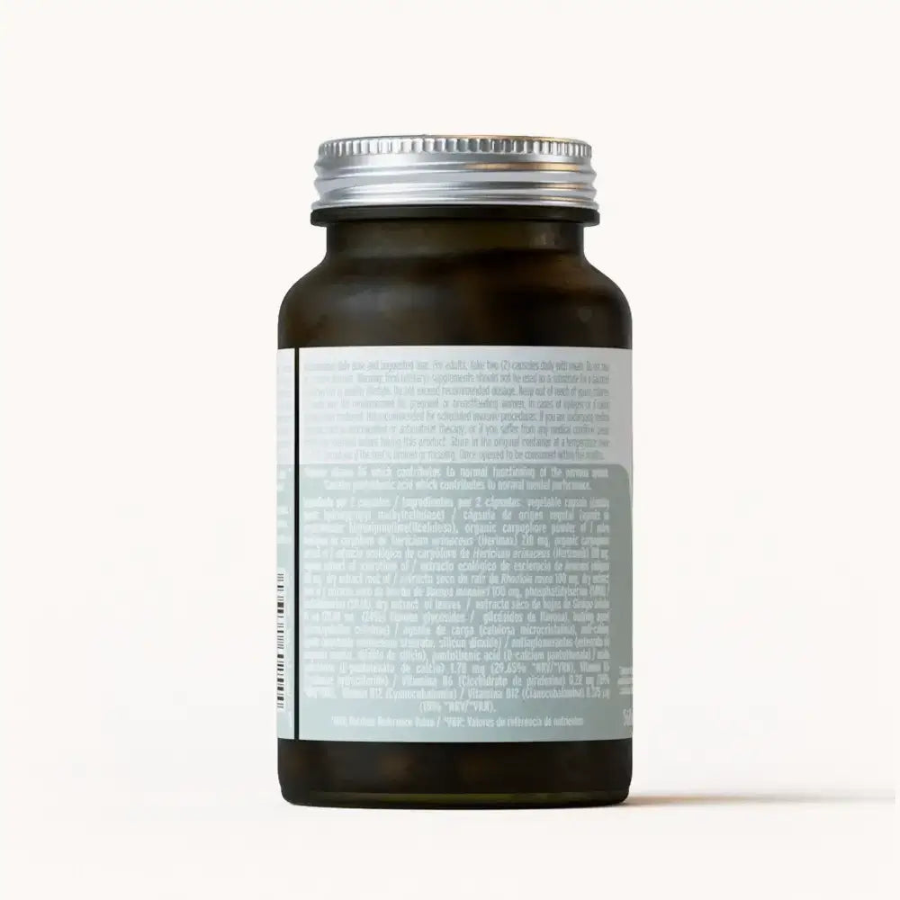 Hifas-Neuro Memoria y Concentración