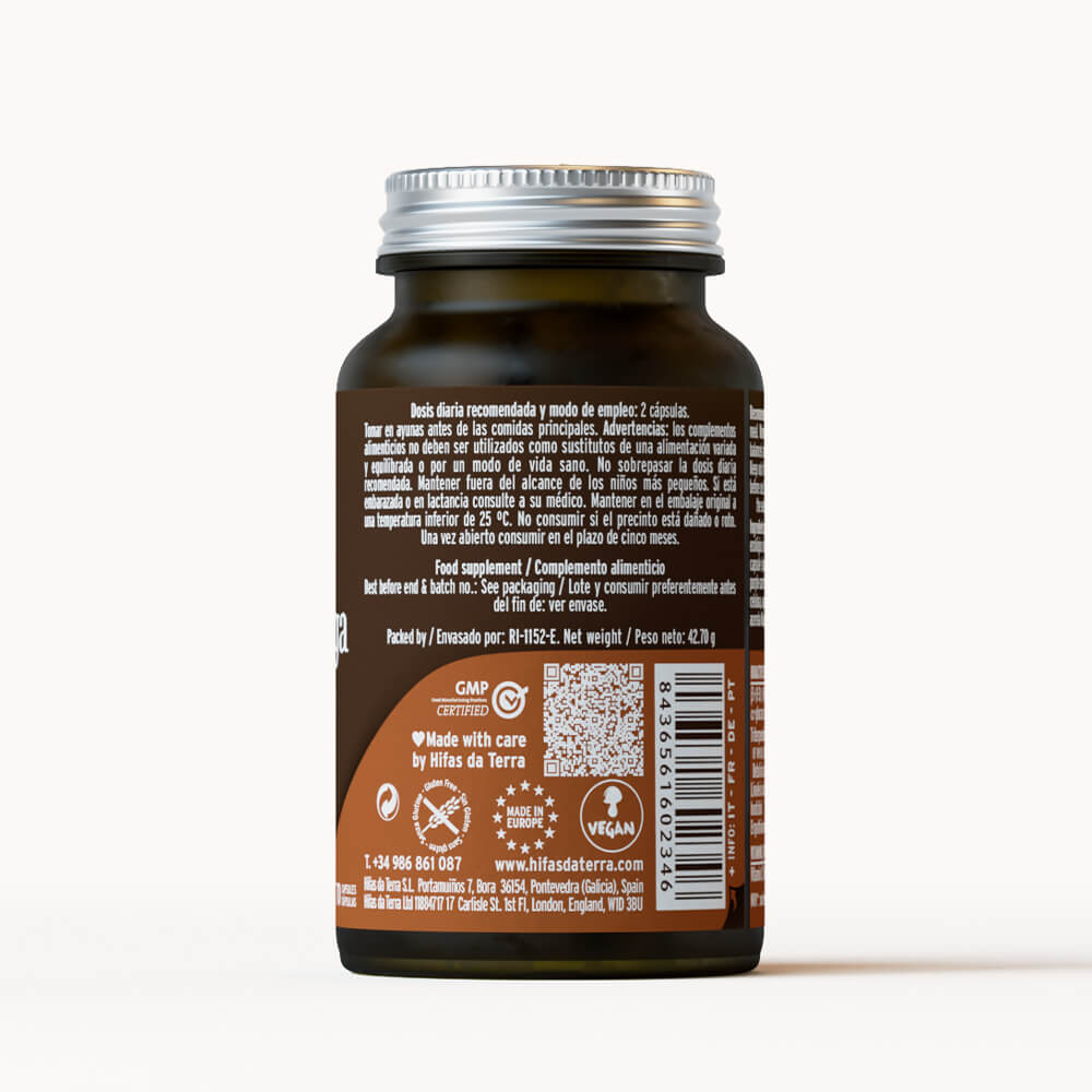 Mico-Chaga Extracto Puro ECO de Chaga