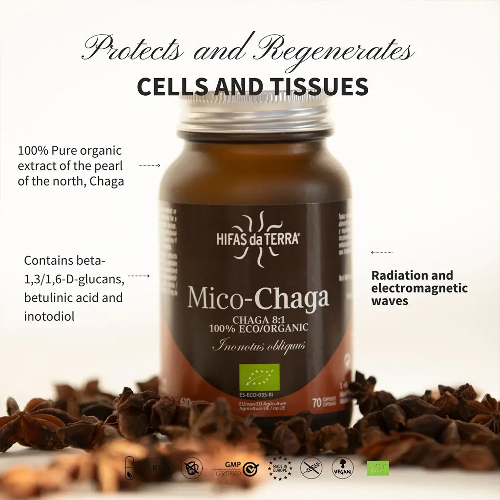 Mico-Chaga Extracto Puro ECO de Chaga