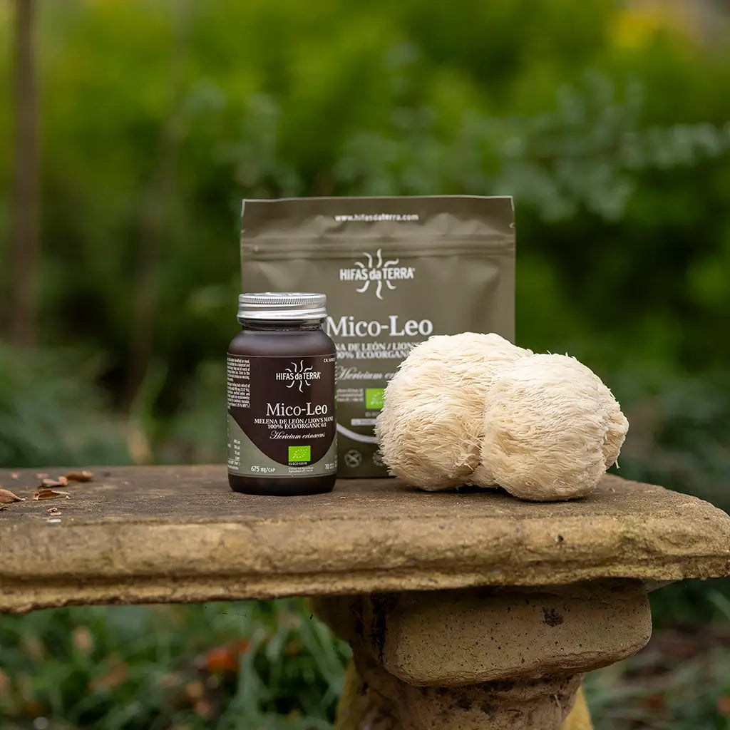 Mico-Leo Extracto Puro ECO de Melena de león