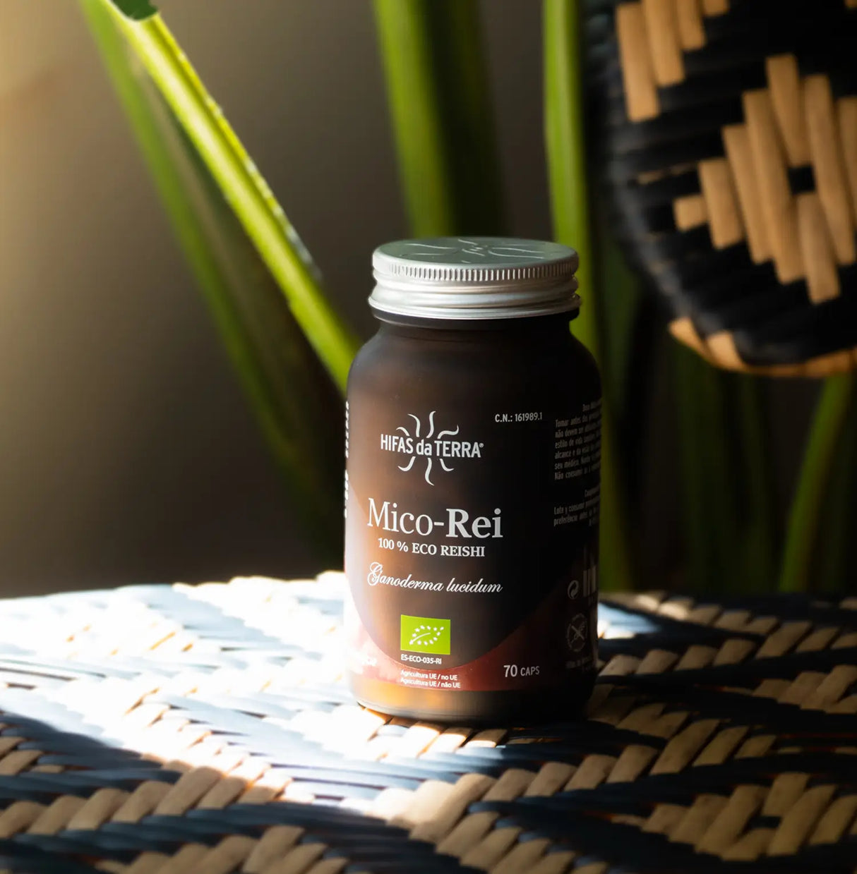 Mico Rei (Reishi extract) capsules
