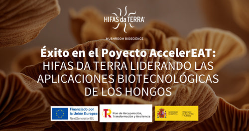 El Proyecto AccelerEAT termina su implementación con resultados trascendentales para Hifas da Terra