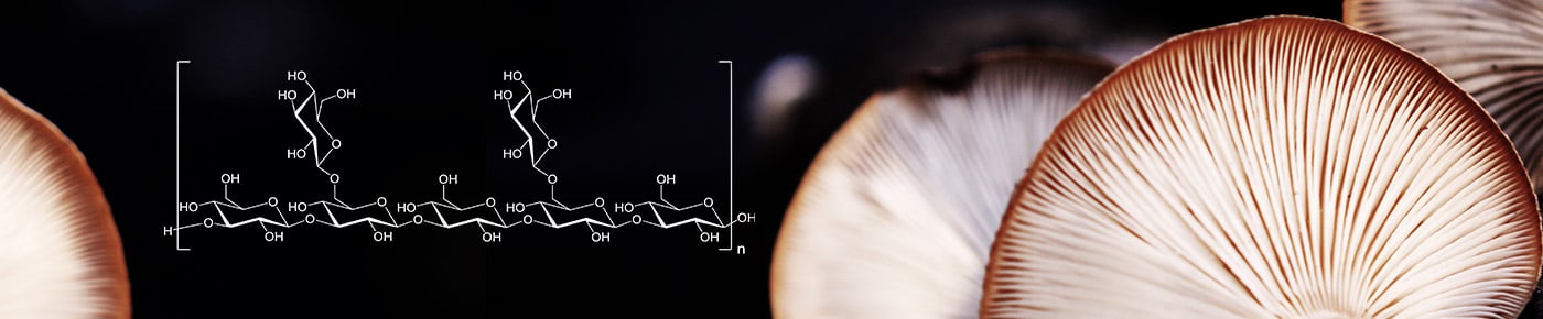 Lentinan-Header