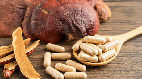 ¿Por qué los hongos son buenos para la salud?