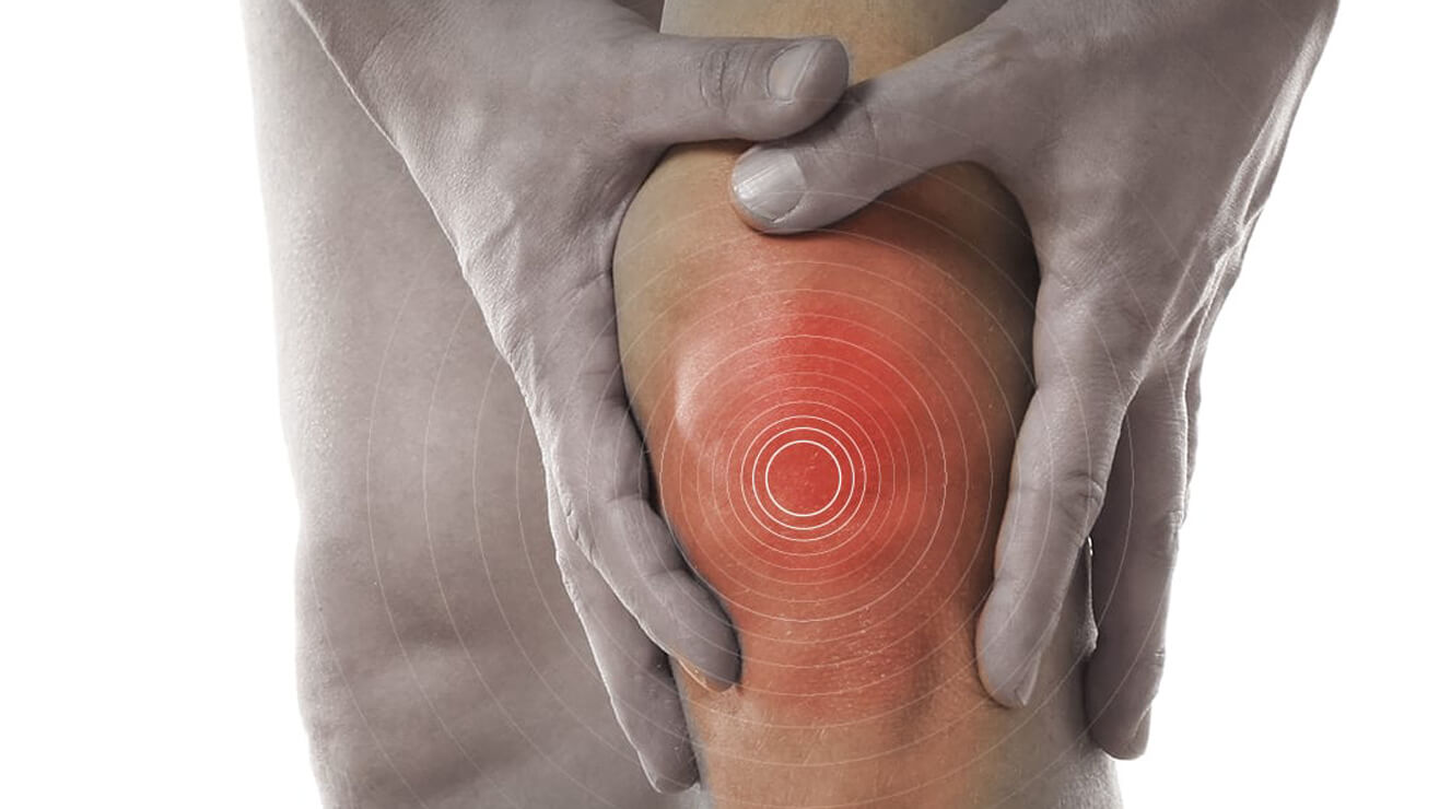 Nuevo estudio clínico en artrosis de rodilla con extractos de hongos