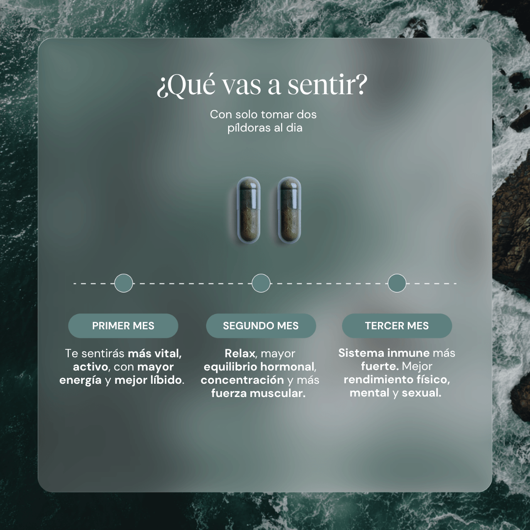 Suplemento para hombres Optimum Men