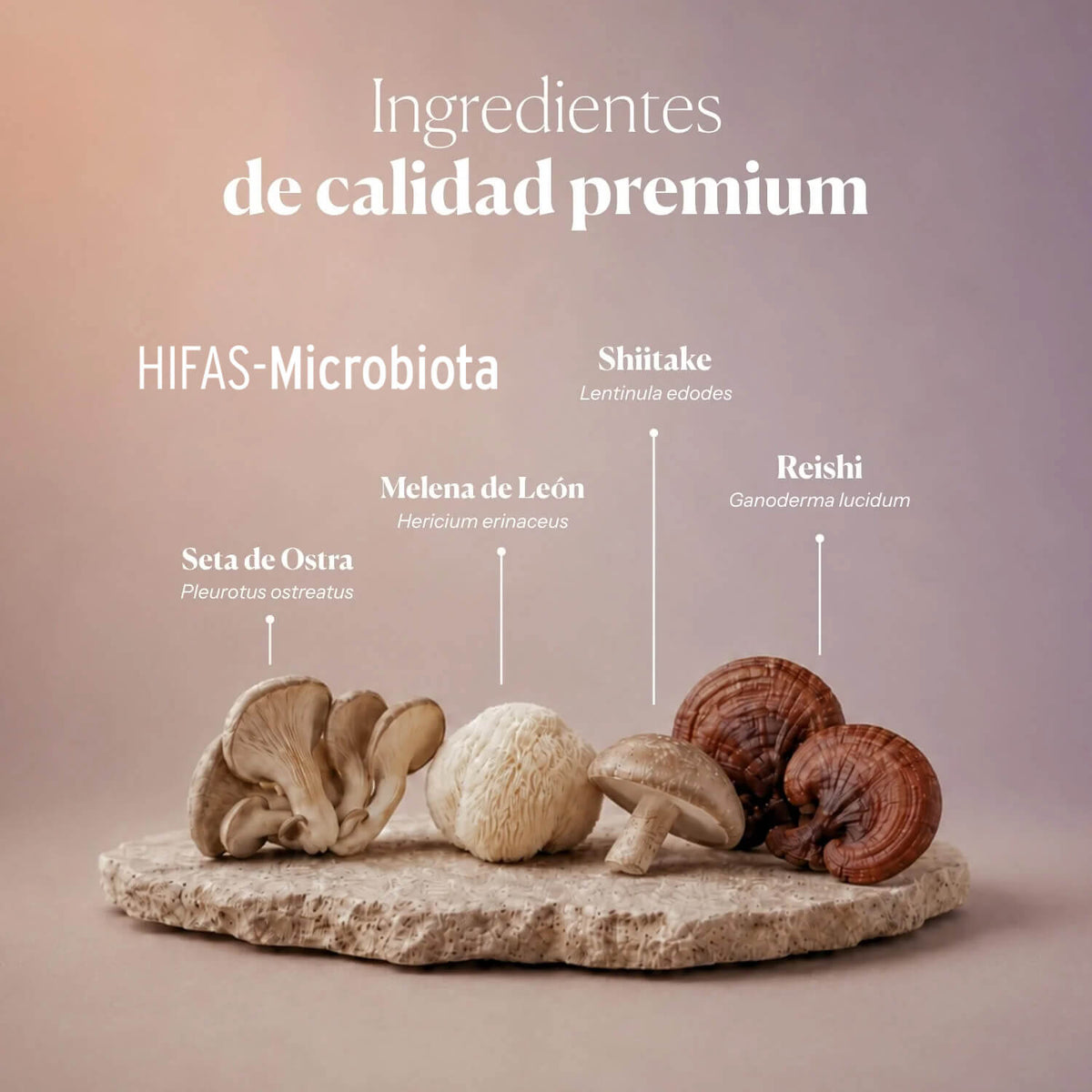 DÚO EQUILIBRIO: Equilibrium + Microbiota
