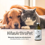 Hifas Arthro Pet