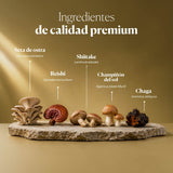 Dr. Immune Five Syrup (Reishi, Agaricus, Oyster, Chaga, Shiitake)