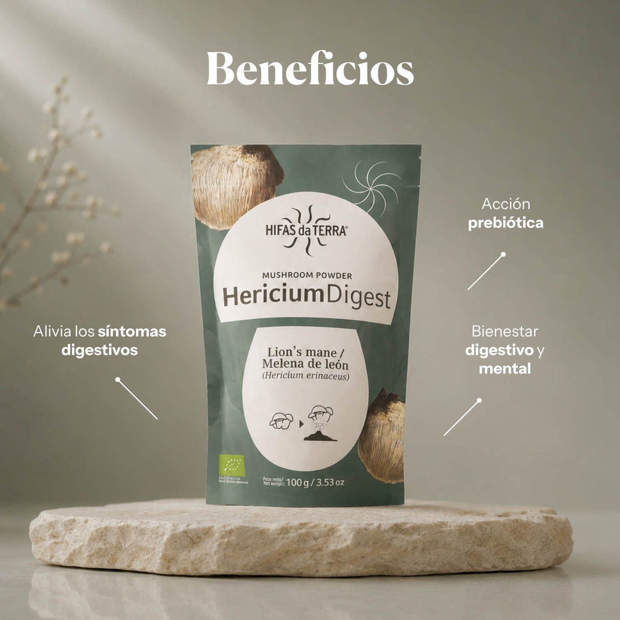 Hericium Digest Powder Superfood (Organic Lion’s Mane)
