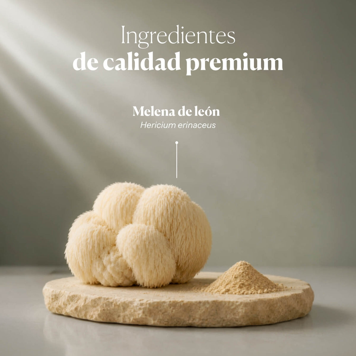 Hericium Digest Powder Superfood (Organic Lion’s Mane)