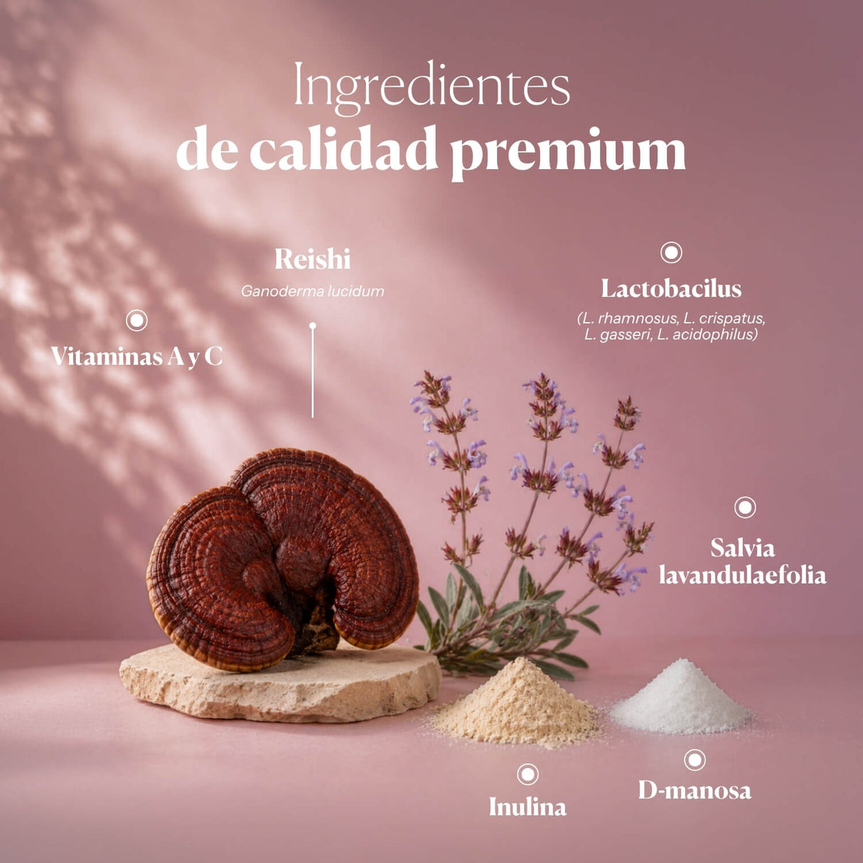 Pre y Probiótico Vaginal Hifas-INTIMA