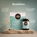 Hifas-Neuro Memoria y Concentración