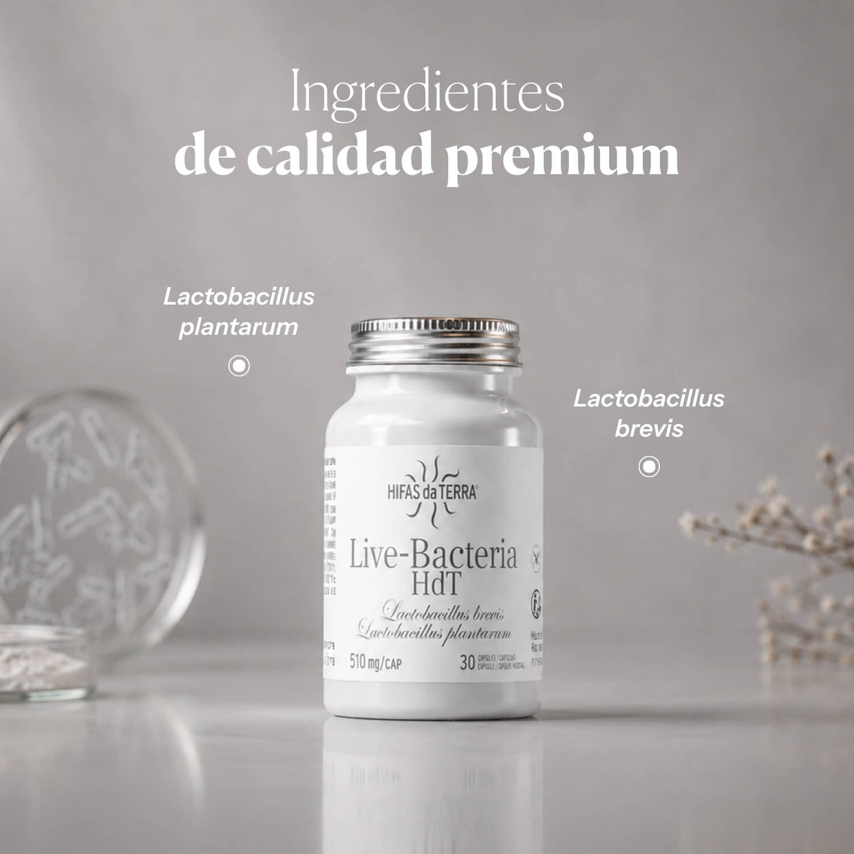 Probióticos en cápsulas