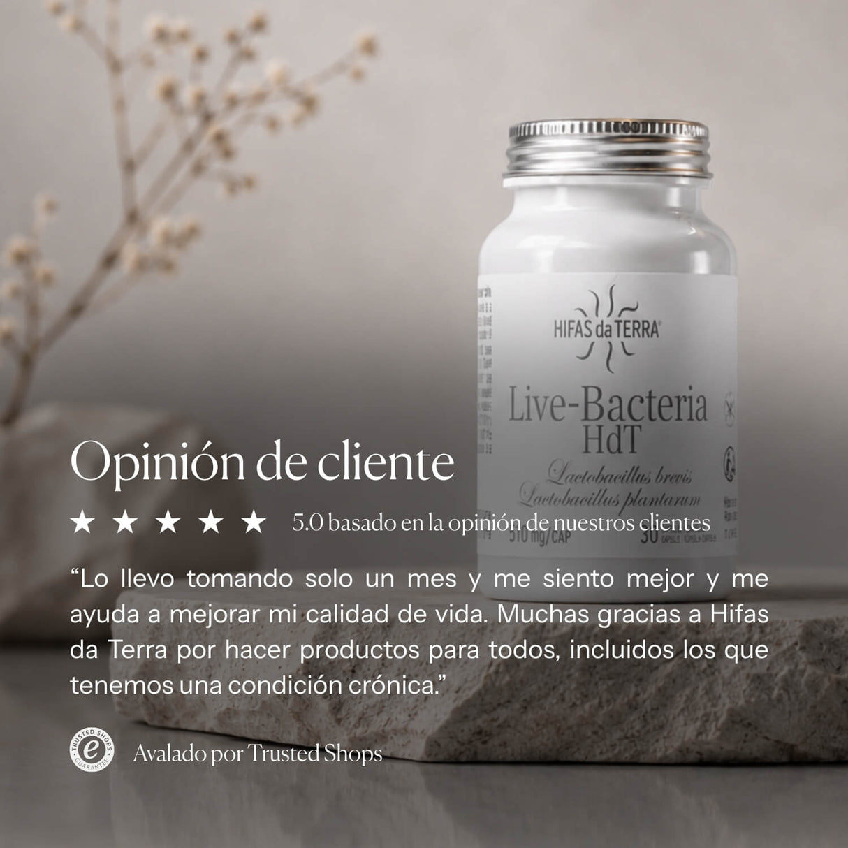 Probióticos en cápsulas