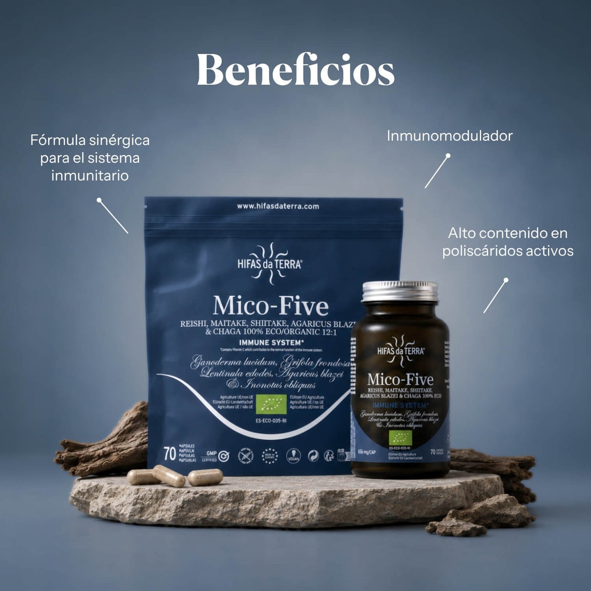 Mico Five (Chaga, Reishi, Maitake, Shiitake, Sun mushroom) Capsules