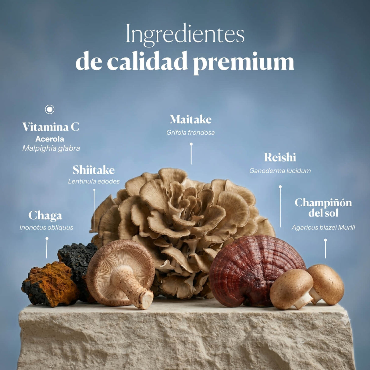 Mico Five (Chaga, Reishi, Maitake, Shiitake, Sun mushroom) Capsules