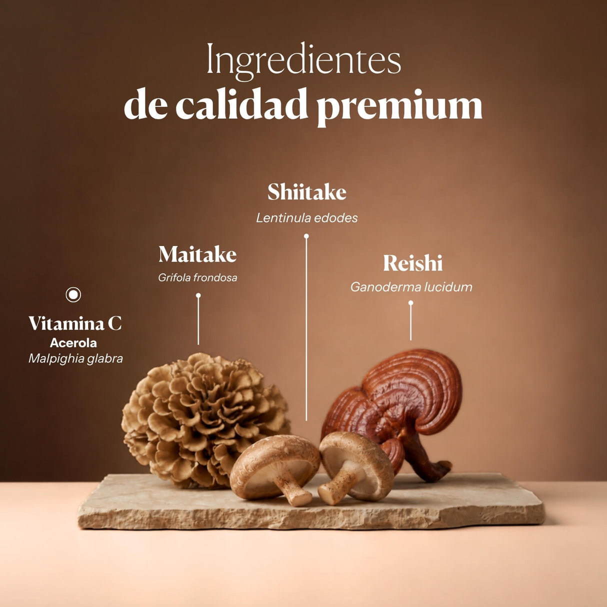 Mico Mix (Shiitake, Reishi, Maitake) Capsules