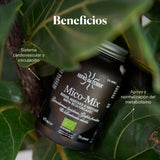 Mico Mix (Shiitake, Reishi, Maitake) Capsules
