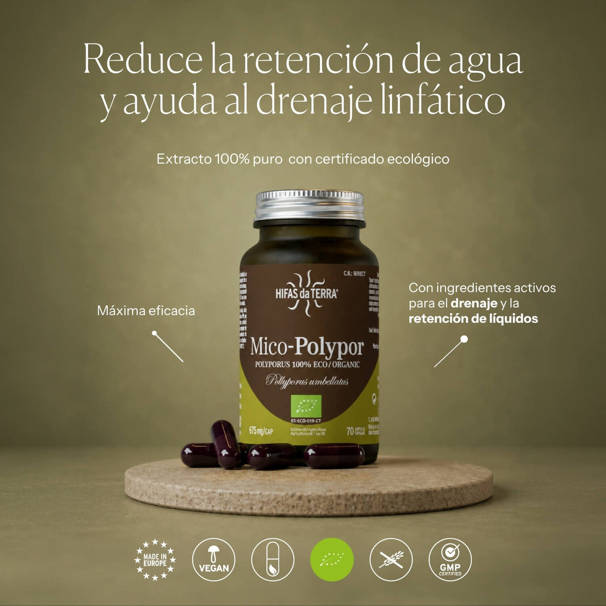 Mico Polypor (Polyporus extract) capsules