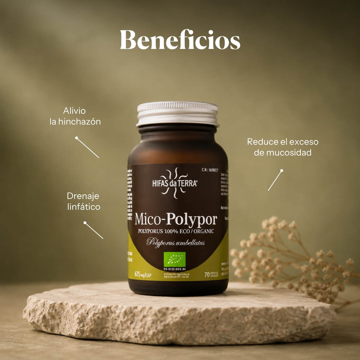 Mico Polypor (Polyporus extract) capsules