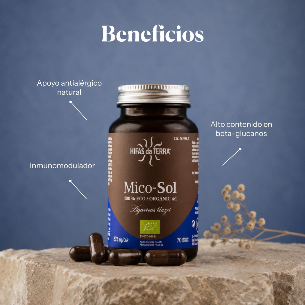 Mico Sol (Agaricus blazei) extract capsules