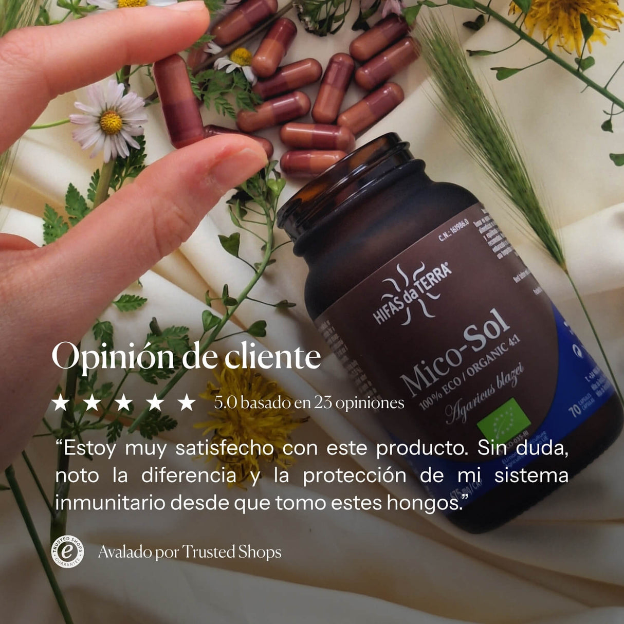 Mico Sol (Agaricus blazei) extract capsules