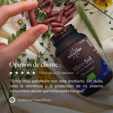 Mico Sol (Agaricus blazei) extract capsules