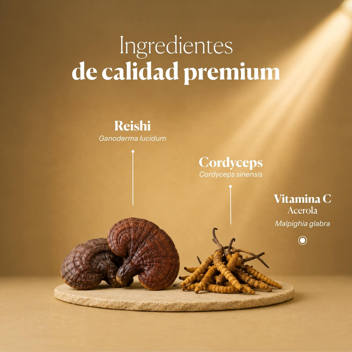 Mico-Vir+ Extractos Puros de Reishi y Cordyceps
