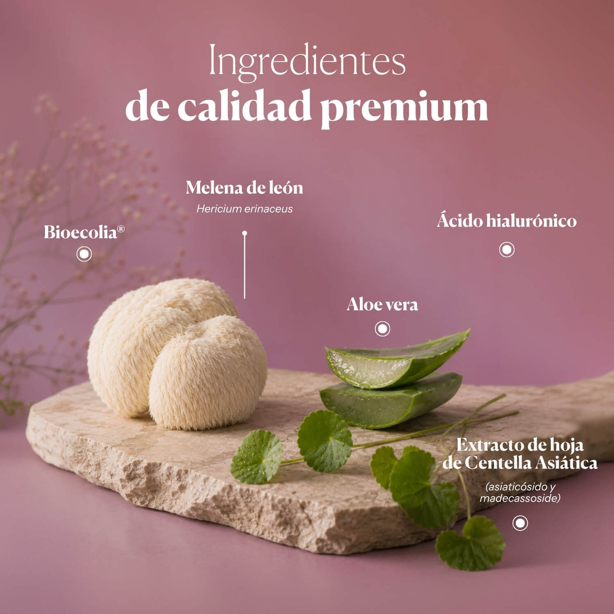 Hidratante Vaginal Hifas-INTIMA GEL