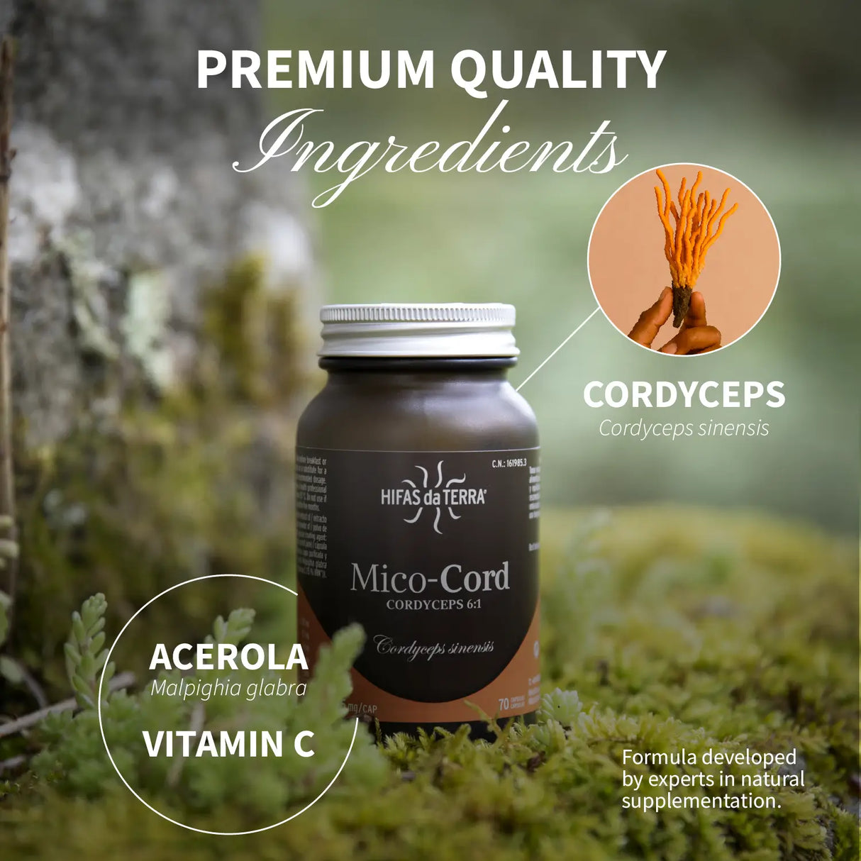 Mico-Cord Extracto Puro del Hongo Cordyceps en cápsulas